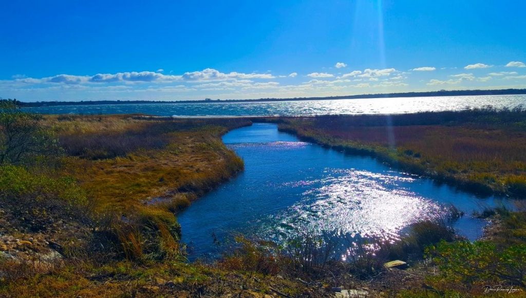 Lake Montauk